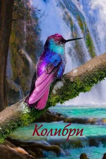 Колибри - Стефания Лукас
