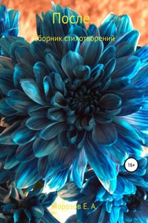 После… - Евгений Морозов