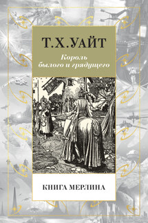 Книга Мерлина - Теренс Уайт