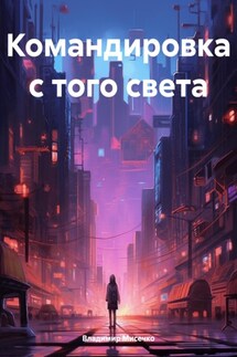 Командировка с того света - Владимир Мисечко