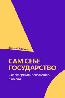 Сам себе государство. Как совершить революцию в жизни - Василий Круглов
