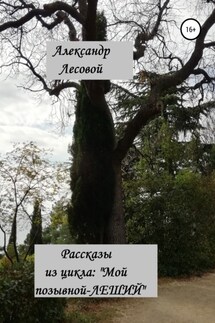 Рассказы из цикла: «Мой позывной Леший» - Александр Лесовой
