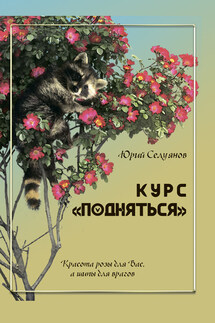 Курс «Подняться» - Юрий Селуянов