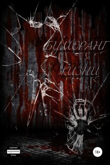Бумеранг жизни - Юрий Гаврилов