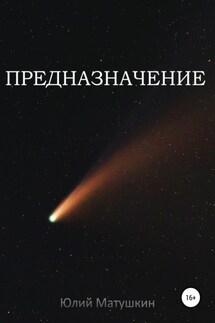 Предназначение - Юлий Матушкин