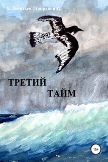 Третий тайм - Алексей Леонтьев(Поправкин)