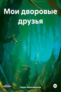 Мои дворовые друзья - Надир Камаладдинов