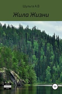 Жила Жизни - Андрей Шульга