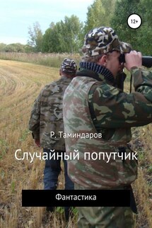 Случайный попутчик - Равиль Таминдаров