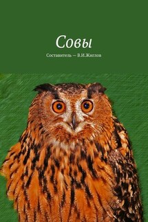 Совы - В. Жиглов