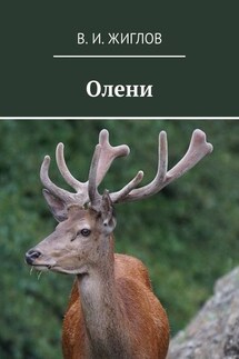 Олени - В. Жиглов