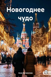 Новогоднее чудо - Анна Богомолова
