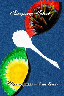 Чёрное крыло – белое крыло - Владимир Савчик