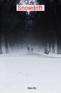 Snowdrift