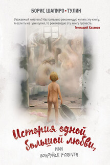 История одной большой любви, или Бобруйск forever (сборник) - Борис Шапиро-Тулин
