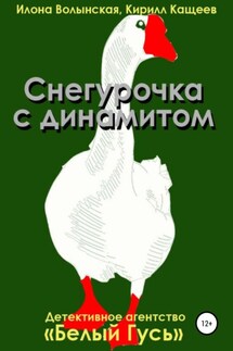 Снегурочка с динамитом - Илона Волынская, Кирилл Кащеев