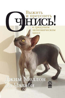 Очнись! Выжить и преуспеть в грядущем экономическом хаосе - Эл Чалаби, Джим Меллон