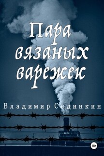 Пара вязаных варежек - Владимир Сединкин