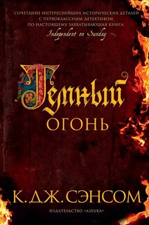 Темный огонь - Кристофер Сэнсом