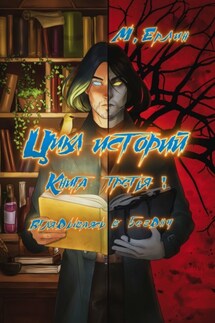 Цикл историй. Книга третья: Вглядываясь в бездну - М. Ерлин
