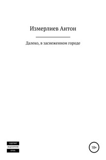 Далеко, в заснеженном городе - Антон Измерлиев