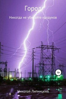 Город. Никогда не убивайте колдунов - Николай Липницкий
