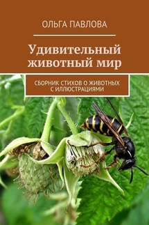 Удивительный животный мир. Сборник стихов о животных с иллюстрациями - Ольга Павлова