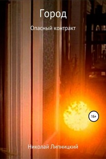 Город. Опасный контракт - Николай Липницкий