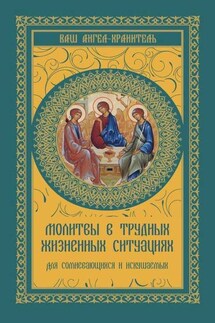 Молитвы в трудных жизненных ситуациях. Для сомневающихся и искушаемых - Виктория Шевченко