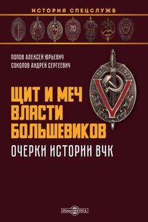 Щит и меч власти большевиков. Очерки истории ВЧК - Алексей Юрьевич Попов, Андрей Сергеевич Соколов