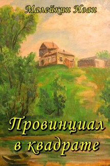 Провинциал в квадрате - Иван Малейкин