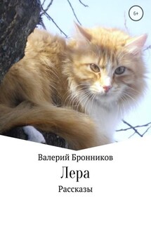 Лера. Сборник рассказов - Валерий Бронников