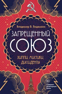 Запрещенный Союз. Хиппи, мистики, диссиденты - Владимир Видеманн