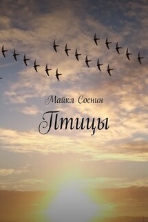 Птицы - Майкл Соснин