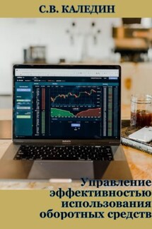 Управление эффективностью использования оборотных средств - Сергей Каледин