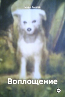 Воплощение - Марио Золотой