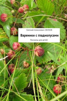 Вареники с гладиолусами. Рассказы для детей - Евгений Обухов