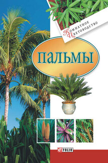 Пальмы - Мария Згурская