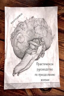 Практическое руководство по преодолению жизни - Илья Гродников
