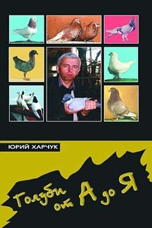 Голуби от А до Я - Юрий Харчук