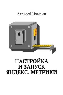 Настройка и запуск Яндекс.Метрики - Алексей Номейн