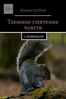 Таежное смятение чувств. II. Возвращение - Роман Булгар