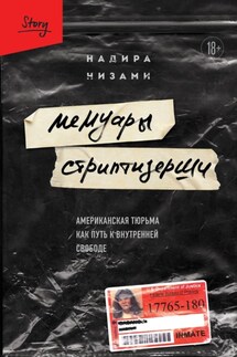 Мемуары стриптизерши. Американская тюрьма как путь к внутренней свободе - Надира Низами