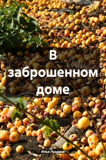 В заброшенном доме - Илья Луданов