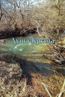 Душа Крыма - Владимир Поляков