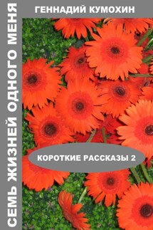Семь жизней одного меня. Короткие рассказы 2 - Геннадий Кумохин