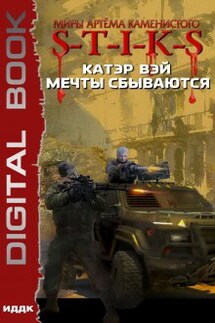 Миры Артёма Каменистого. S-T-I-K-S. Мечты сбываются. Книга 1 - ИДДК