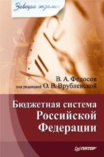Бюджетная система Российской Федерации - Виталий Федосов
