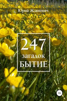 247 загадок. Бытие - Юрий Михайлович Жданович, Юлия Николаевна Глинская