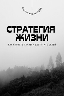 Стратегия жизни. Как строить планы и достигать целей - Андрей Миллиардов